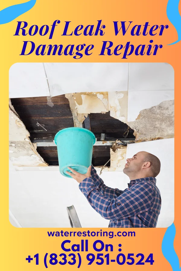 Roof Leak Water Damage Repair in Hulmeville, PA