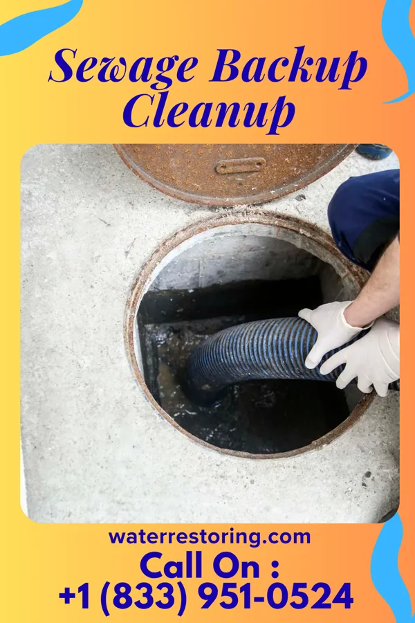 Sewage Backup Cleanup in Hulmeville, PA